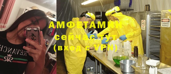 шишки Краснотурьинск