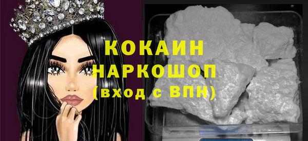 гашик Корсаков
