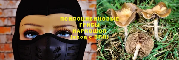 гидропоника Краснослободск