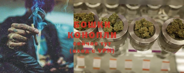 шишки Краснотурьинск