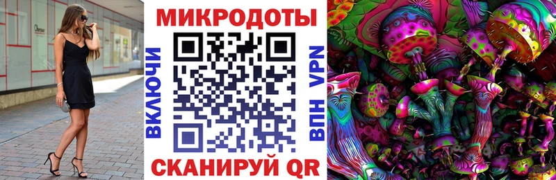 Псилоцибиновые грибы Cubensis  Лихославль 